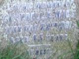 image of grave number 1393